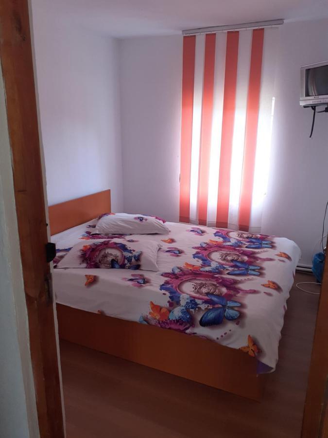 Готель Casa Denisa Vidraru Transfgarasan Capatineni-Ungureni Екстер'єр фото