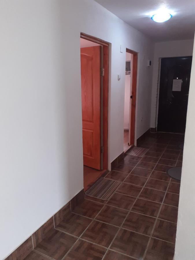 Готель Casa Denisa Vidraru Transfgarasan Capatineni-Ungureni Екстер'єр фото