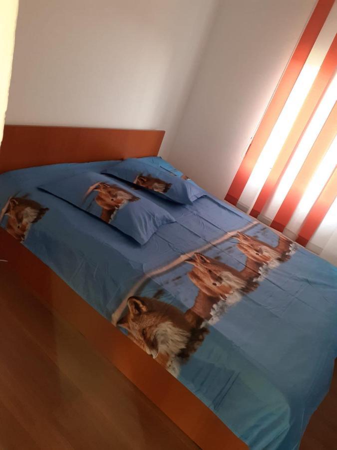 Готель Casa Denisa Vidraru Transfgarasan Capatineni-Ungureni Екстер'єр фото