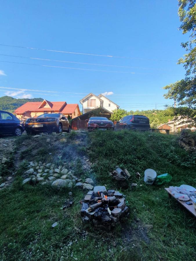Готель Casa Denisa Vidraru Transfgarasan Capatineni-Ungureni Екстер'єр фото