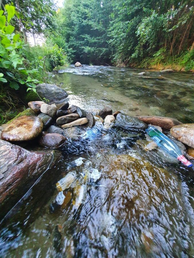 Готель Casa Denisa Vidraru Transfgarasan Capatineni-Ungureni Екстер'єр фото