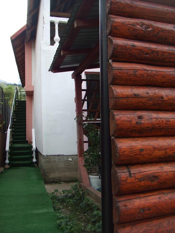 Готель Casa Denisa Vidraru Transfgarasan Capatineni-Ungureni Екстер'єр фото